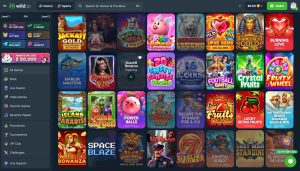 Wild.io no KYC casino Wild.io no KYC casino